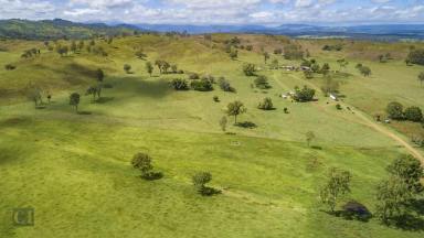 Farm Sold - QLD - Laravale - 4285 - "Echo Hills" 859.12 ha in 7 titles, less than 100 km south of Brisbane  (Image 2)