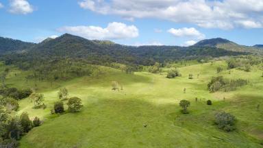 Farm Sold - QLD - Tabooba - 4285 - Grazing - Recreation - Lifestyle  (Image 2)