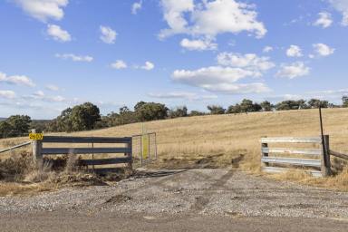 Farm Sold - NSW - Goulburn - 2580 - Close to Town  (Image 2)