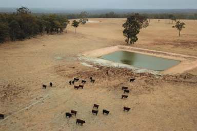 Farm Sold - WA - Rocky Gully - 6397 - 'Terrie's Block'  (Image 2)