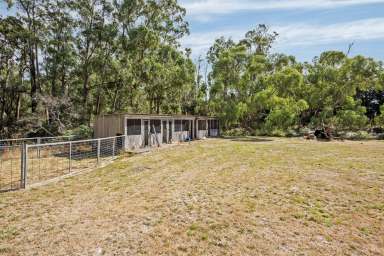 Farm Sold - TAS - Smithton - 7330 - Large Premium Quality Acreage  (Image 2)