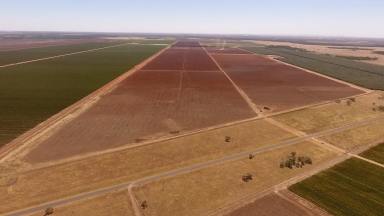 Farm Sold - NSW - Willbriggie - 2680 - LARGE-SCALE DEVELOPMENT POTENTIAL & WATER ACCESS  (Image 2)