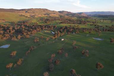 Farm For Sale - NSW - Tumut - 2720 - High Rainfall Rural Lifestyle  (Image 2)