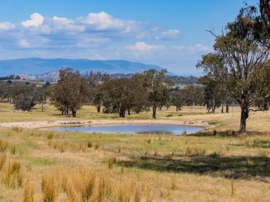 Farm For Sale - NSW - Tumut - 2720 - High Rainfall Rural Lifestyle  (Image 2)