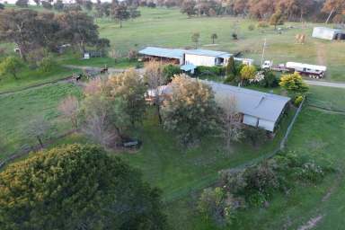 Farm For Sale - NSW - Tumut - 2720 - High Rainfall Rural Lifestyle  (Image 2)