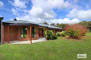 Farm Sold - VIC - Lockwood - 3551 - QUALITY BUILT HOME IN PICTURESQUE RURAL SURROUNDINGS  (Image 2)