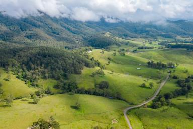 Farm Sold - NSW - Monkerai - 2415 - 'SARIBA' - Valley of views  (Image 2)