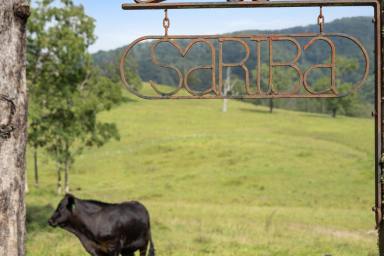 Farm Sold - NSW - Monkerai - 2415 - 'SARIBA' - Valley of views  (Image 2)