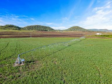 Farm Sold - QLD - Ascot - 4359 - 'LISTOWEL' - SOLD UNDER THE HAMMER  (Image 2)
