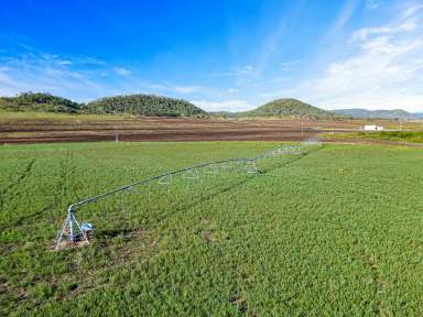 Farm Sold - QLD - Ascot - 4359 - 'LISTOWEL' - SOLD UNDER THE HAMMER  (Image 2)