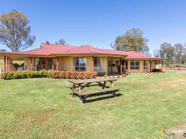 Farm Sold - NSW - Cobargo - 2550 - STUNNING VIEWS, PERFECT FAMILY HOME  (Image 2)