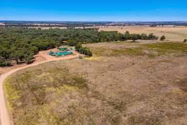 Farm Sold - NSW - Temora - 2666 - FULLY EQUIPPED LIFESTYLE OPPORTUNITY  (Image 2)