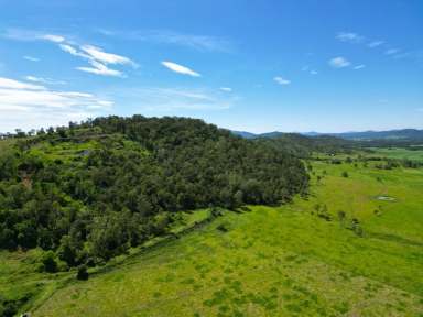 Farm Sold - QLD - Gargett - 4741 - MACKAY REGIONAL COUNCIL SURPLUS LAND - QUARRY BLOCK  (Image 2)