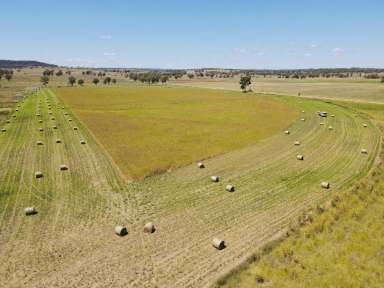 Farm For Sale - QLD - Tellebang - 4630 - "Lanberris"   IRRIGATION & GRAZING OPERATION IN THE NORTH BURNETT REGION  (Image 2)