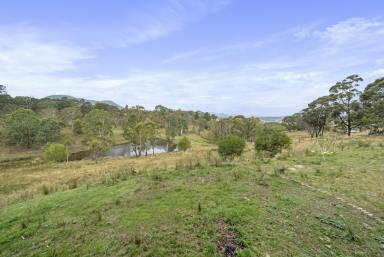 Farm Sold - NSW - Little Hartley - 2790 - Rare Lifestyle acreage in Little Hartley  (Image 2)
