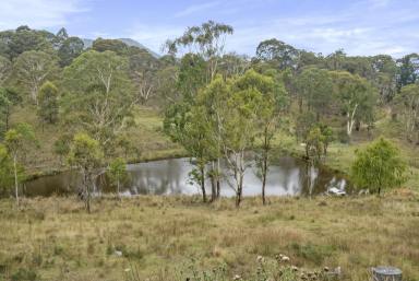 Farm Sold - NSW - Little Hartley - 2790 - Rare Lifestyle acreage in Little Hartley  (Image 2)