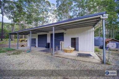 Farm Sold - NSW - Coolongolook - 2423 - Kick start your new life.  (Image 2)