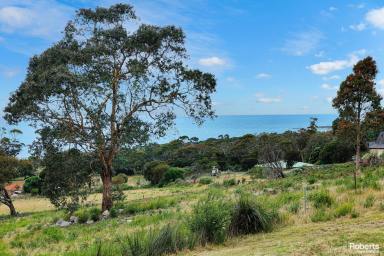 Farm Sold - TAS - Bicheno - 7215 - This Is The Place To Live Out Your Dreams  (Image 2)