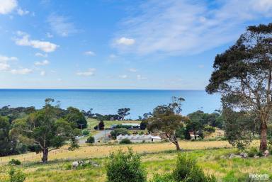 Farm Sold - TAS - Bicheno - 7215 - This Is The Place To Live Out Your Dreams  (Image 2)