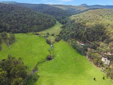 Farm For Sale - NSW - Laguna - 2325 - Prime Picturesque Wollombi Valley Acres!  (Image 2)