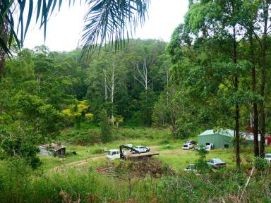 Farm Sold - NSW - Mallanganee - 2469 - PEACE OF PARADISE  (Image 2)