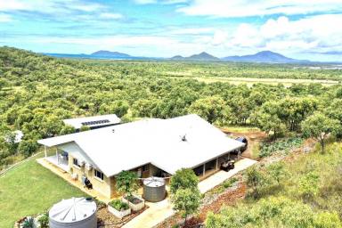 Farm For Sale - QLD - Guthalungra - 4805 - Million Dollar Views with an Income  (Image 2)