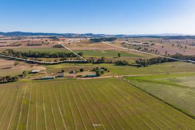 Farm For Sale - NSW - Canowindra - 2804 - 100YRS OF OWNERSHIP, PRIME IRRIGATION, SELF WATERING RIVER FLATS & GRAZING!  (Image 2)
