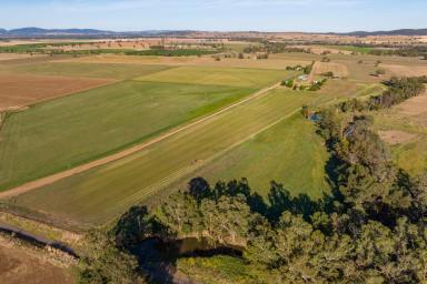 Farm For Sale - NSW - Canowindra - 2804 - 100YRS OF OWNERSHIP, PRIME IRRIGATION, SELF WATERING RIVER FLATS & GRAZING!  (Image 2)