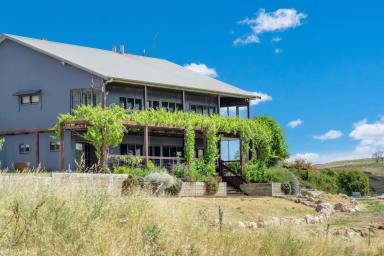 Farm Sold - NSW - Freemantle - 2795 - Weiry's Corner - Exceptional Country Living  (Image 2)