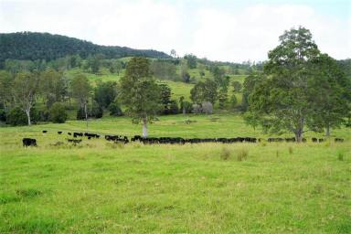 Farm For Sale - NSW - Casino - 2470 - ROCKY TOPS - 557 ACRE BREEDER FARM  (Image 2)