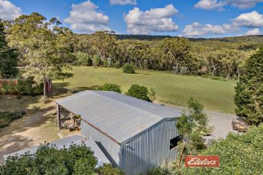 Farm Sold - NSW - Hill Top - 2575 - Idyllic and hidden oasis on over 5.5 acres!  (Image 2)