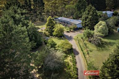 Farm Sold - NSW - Hill Top - 2575 - Idyllic and hidden oasis on over 5.5 acres!  (Image 2)