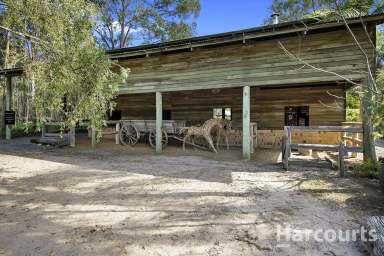 Farm Sold - QLD - Takura - 4655 - Beautiful Lifestyle Acreage - Being sold as a going concern with forward bookings!  (Image 2)