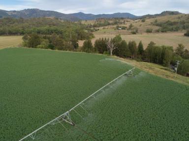 Farm Sold - NSW - Woolomin - 2340 - Mixed Grazing / Lucerne Enterprise on the Peel River  (Image 2)