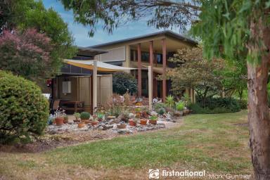 Farm Sold - VIC - Healesville - 3777 - Contemporary Lifestyle At Its Best!  (Image 2)