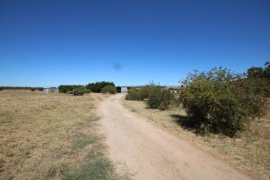 Farm For Sale - VIC - Rochester - 3561 - 5 ACRES WITH BUILDING PERMIT  (Image 2)