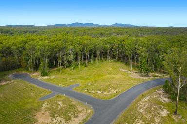 Farm For Sale - NSW - Verges Creek - 2440 - Largest Vacant Site For Sale In East Edge Estate!  (Image 2)