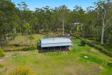 Farm Sold - NSW - South Kempsey - 2440 - You Little Ripper! 20-Acre Bushland Retreat 15 Minutes to Top Surf  (Image 2)