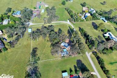 Farm For Sale - VIC - Devon North - 3971 - GAYS GROVE, A RARE OFFERING!  (Image 2)