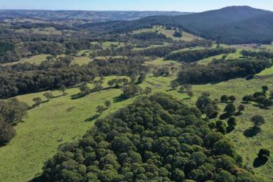 Farm Sold - NSW - Hampton - 2790 - Location, privacy and nature; nest in the impenetrable Hampton locality.  (Image 2)