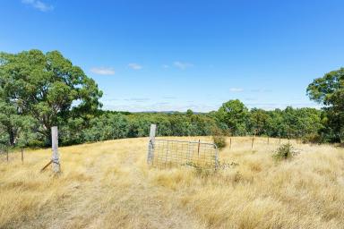Farm For Sale - VIC - Elphinstone - 3448 - Beautiful Lifestyle Property - Current Planning Permit  (Image 2)