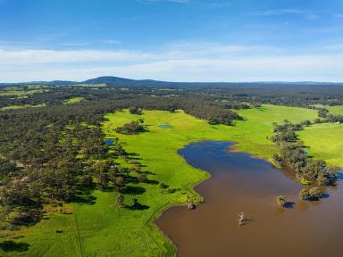 Farm Sold - VIC - Welshmans Reef - 3462 - PRICE REDUCED  (Image 2)