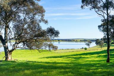 Farm Sold - VIC - Welshmans Reef - 3462 - PRICE REDUCED  (Image 2)