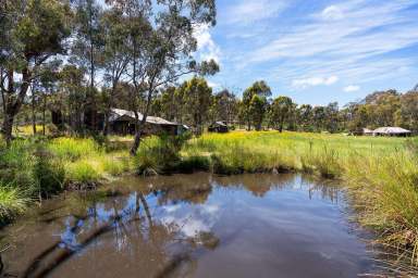 Farm Sold - VIC - Campbells Creek - 3451 - 25 Acres - Short Drive To CBD  (Image 2)