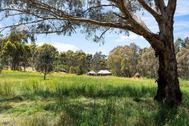 Farm Sold - VIC - Campbells Creek - 3451 - 25 Acres - Short Drive To CBD  (Image 2)