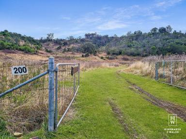 Farm For Sale - NSW - Bullio - 2575 - The Perfect Getaway  (Image 2)