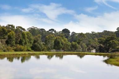 Farm Sold - VIC - Timboon - 3268 - LOCATION, POTENTIAL, SERENITY  (Image 2)