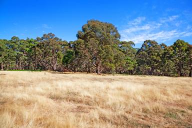 Farm Sold - VIC - Warrenheip - 3352 - 9.944HA (24.57 Acres) A Never To Be Repeated Land Offering For Your New Home  (Image 2)