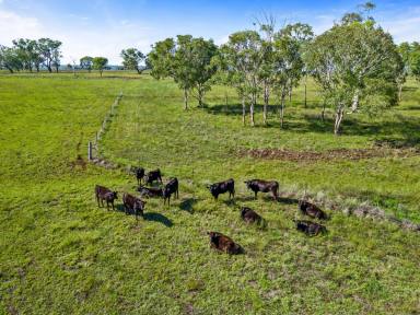 Farm Sold - QLD - Forest Springs - 4362 - AUCTION - SOLD UNDER THE HAMMER  (Image 2)