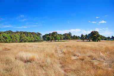 Farm Sold - VIC - Warrenheip - 3352 - 3.014HA (7.45 Acres) Perfectly Positioned Acreage  (Image 2)